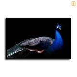 HD Canvas Print Home Decor Paintings Wall Art Pictures-SR100913
