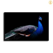 HD Canvas Print Home Decor Paintings Wall Art Pictures-SR100913