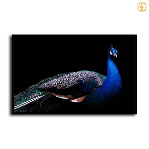 HD Canvas Print Home Decor Paintings Wall Art Pictures-SR100913