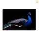 HD Canvas Print Home Decor Paintings Wall Art Pictures-SR100913