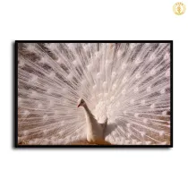 HD Canvas Print Home Decor Paintings Wall Art Pictures-SR-20068