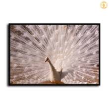 HD Canvas Print Home Decor Paintings Wall Art Pictures-SR-20068