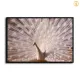 HD Canvas Print Home Decor Paintings Wall Art Pictures-SR-20068