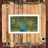 HD Canvas Print Home Decor Paintings Wall Art Pictures-SRC_X338