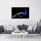 HD Canvas Print Home Decor Paintings Wall Art Pictures-SR100913