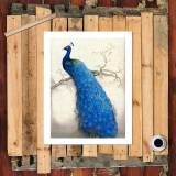 HD Canvas Print Home Decor Paintings Wall Art Pictures-SR119174