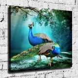 HD Canvas Print Home Decor Paintings Wall Art Pictures-SR-A3749