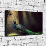 HD Canvas Print Home Decor Paintings Wall Art Pictures-SR-A3913