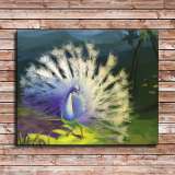 HD Canvas Print Home Decor Paintings Wall Art Pictures-SR-20073