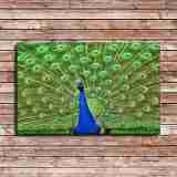 HD Canvas Print Home Decor Paintings Wall Art Pictures-SR--A819