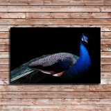 HD Canvas Print Home Decor Paintings Wall Art Pictures-SR100913