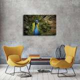 HD Canvas Print Home Decor Paintings Wall Art Pictures-SR-A2689