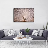 HD Canvas Print Home Decor Paintings Wall Art Pictures-SR-20068