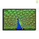 HD Canvas Print Home Decor Paintings Wall Art Pictures-SR--A819