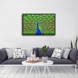 HD Canvas Print Home Decor Paintings Wall Art Pictures-SR--A819