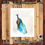 HD Canvas Print Home Decor Paintings Wall Art Pictures-SR119313