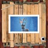 HD Canvas Print Home Decor Paintings Wall Art Pictures-SR101163