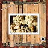 HD Canvas Print Home Decor Paintings Wall Art Pictures-SR124665