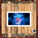 HD Canvas Print Home Decor Paintings Wall Art Pictures-SR124733