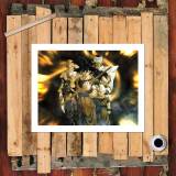 HD Canvas Print Home Decor Paintings Wall Art Pictures-SR124563