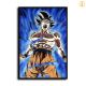 HD Canvas Print Home Decor Paintings Wall Art Pictures-SR124627