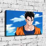 HD Canvas Print Home Decor Paintings Wall Art Pictures-SR124748
