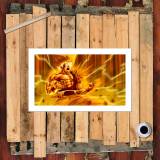HD Canvas Print Home Decor Paintings Wall Art Pictures-SR124880