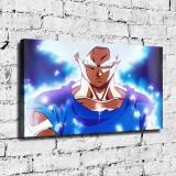 HD Canvas Print Home Decor Paintings Wall Art Pictures-SR124891