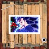 HD Canvas Print Home Decor Paintings Wall Art Pictures-SR124892