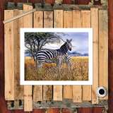 HD Canvas Print Home Decor Paintings Wall Art Pictures-SR-A0542