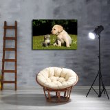 HD Canvas Print Home Decor Paintings Wall Art Pictures-SR101023