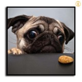 HD Canvas Print Home Decor Paintings Wall Art Pictures-SR105714
