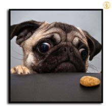 HD Canvas Print Home Decor Paintings Wall Art Pictures-SR105714
