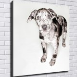 HD Canvas Print Home Decor Paintings Wall Art Pictures-SR120095