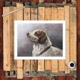 HD Canvas Print Home Decor Paintings Wall Art Pictures-SR120317