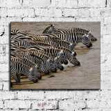 HD Canvas Print Home Decor Paintings Wall Art Pictures-SR-10557