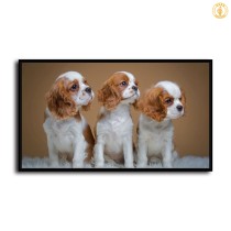 HD Canvas Print Home Decor Paintings Wall Art Pictures-SR107140