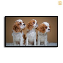HD Canvas Print Home Decor Paintings Wall Art Pictures-SR107140