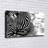 HD Canvas Print Home Decor Paintings Wall Art Pictures-SR--1221