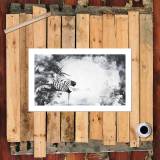 HD Canvas Print Home Decor Paintings Wall Art Pictures-SR--1166