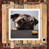HD Canvas Print Home Decor Paintings Wall Art Pictures-SR105714