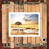 HD Canvas Print Home Decor Paintings Wall Art Pictures-SR--0285