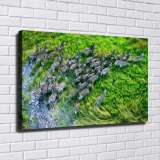 HD Canvas Print Home Decor Paintings Wall Art Pictures-SR-10506