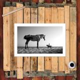 HD Canvas Print Home Decor Paintings Wall Art Pictures-SR105470