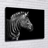 HD Canvas Print Home Decor Paintings Wall Art Pictures-SR120075
