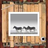 HD Canvas Print Home Decor Paintings Wall Art Pictures-SR-10270