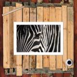 HD Canvas Print Home Decor Paintings Wall Art Pictures-SR--0359