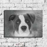 HD Canvas Print Home Decor Paintings Wall Art Pictures-SR119970