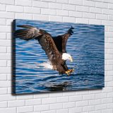 HD Canvas Print Home Decor Paintings Wall Art Pictures-SR-20064