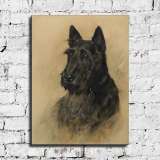 HD Canvas Print Home Decor Paintings Wall Art Pictures-SR120310SR120310